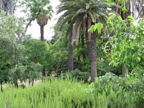 National Garden, Athens Greece